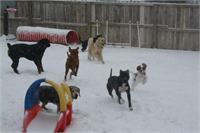 daycare pic 128 - winter fun